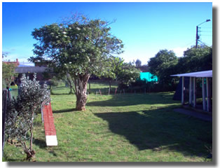 Campo de Recreo en Guarderia Canina